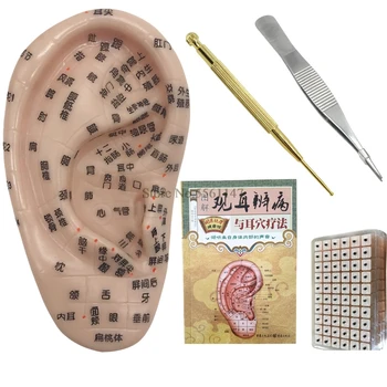 600pcs/daug ausies paspauskite sėklos Auricular Vaccaria sėklos su anglų ausies zondas 13cm ausies modelis akupunktūros adatos ausį granulių lieknėjimo bod