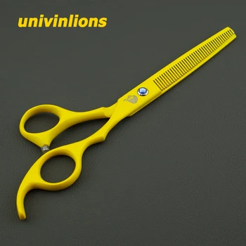 univinlions 6.5
